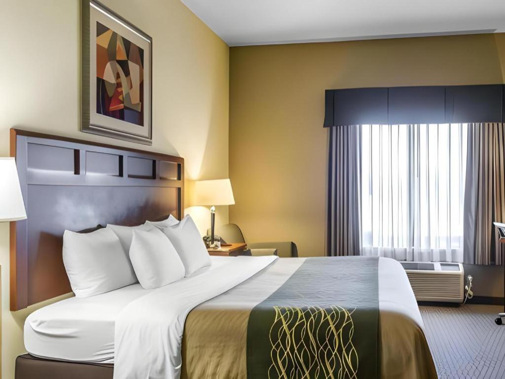Comfort Inn & Suites Мэдисонвилл Экстерьер фото