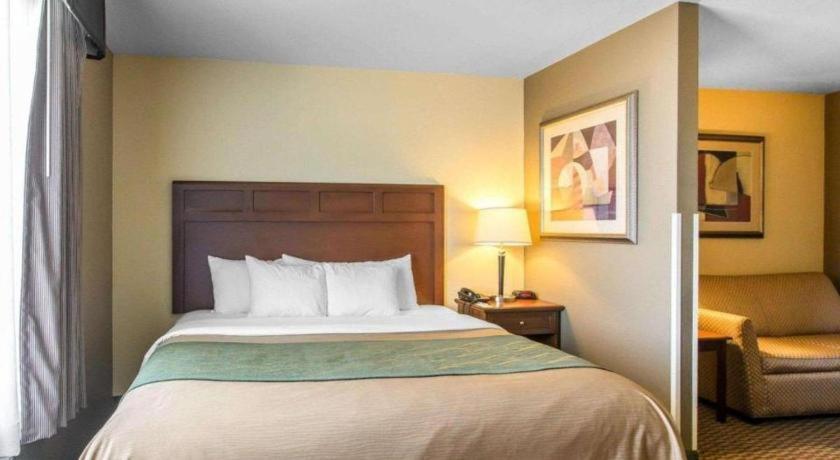 Comfort Inn & Suites Мэдисонвилл Экстерьер фото